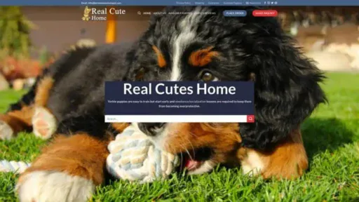 Screenshot of||