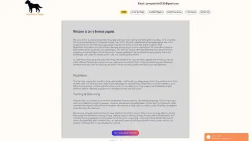 Screenshot of