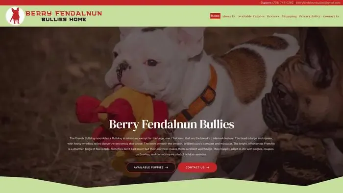 Screenshot of