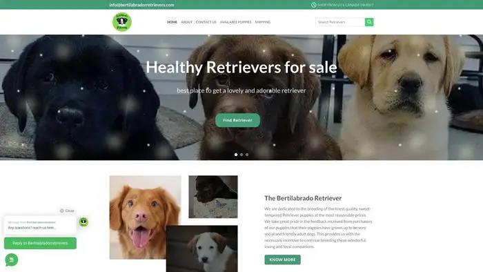 Screenshot of