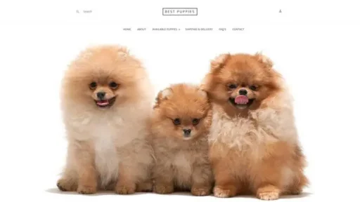 Screenshot of