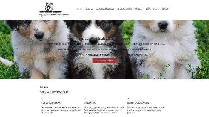 Screenshot of