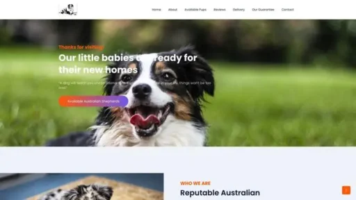 Screenshot of