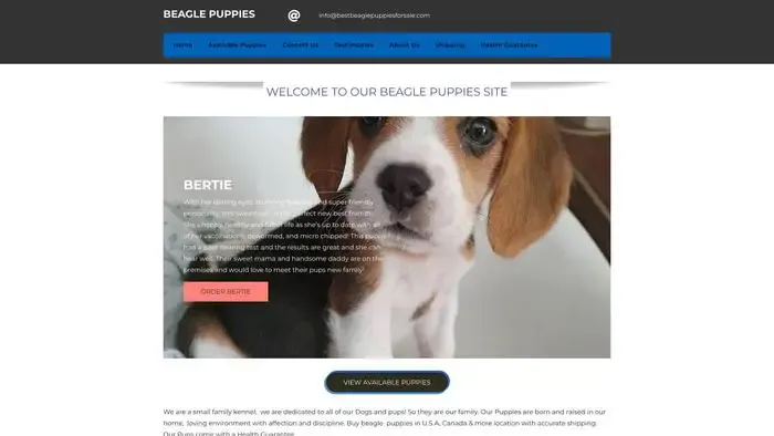 Screenshot of