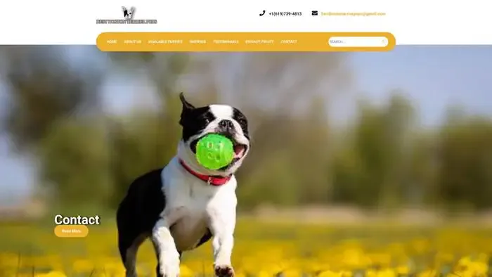 Screenshot of