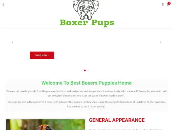 Screenshot of