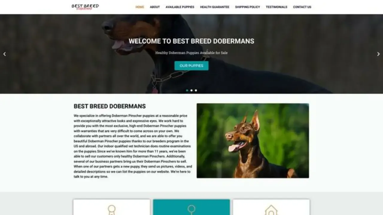 Bestbreeddobermans