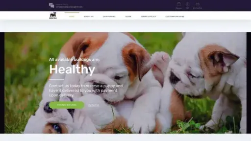 Screenshot of