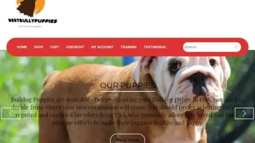 Screenshot of