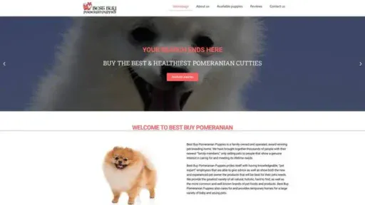 Screenshot of