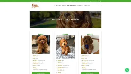 Screenshot of