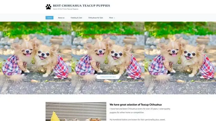 Screenshot of