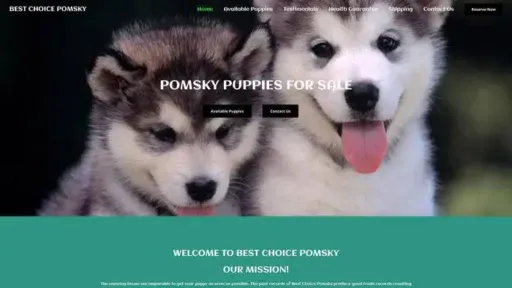 Screenshot of