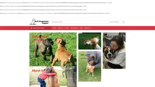 Screenshot of