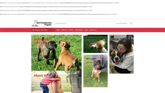 Screenshot of