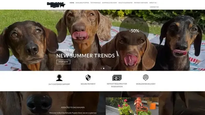 Screenshot of