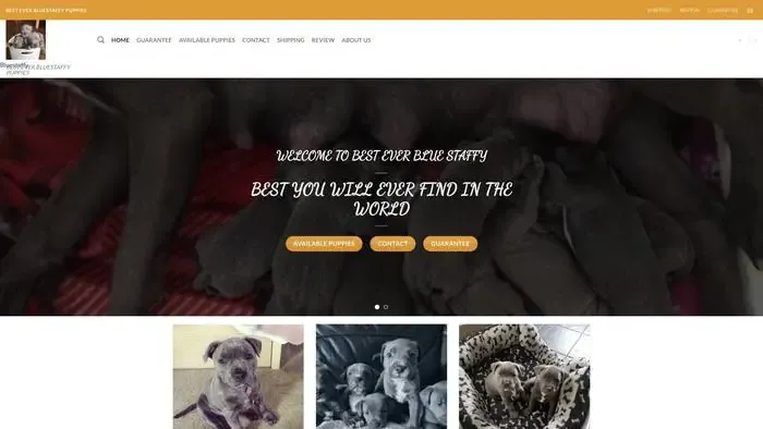 Screenshot of