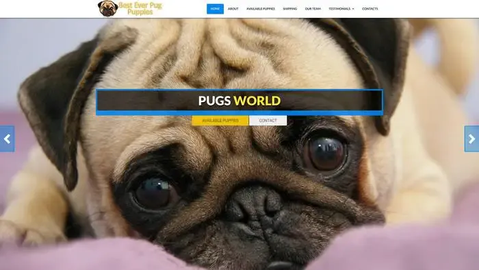 Screenshot of