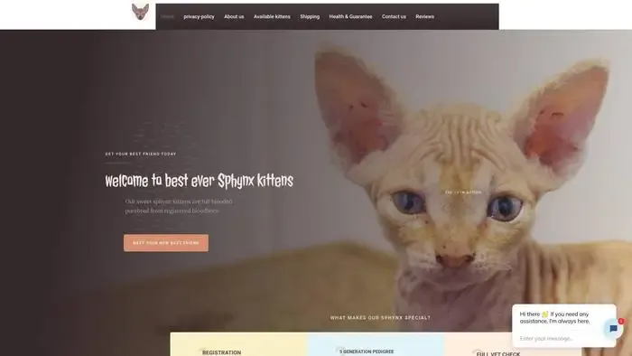 Screenshot of
