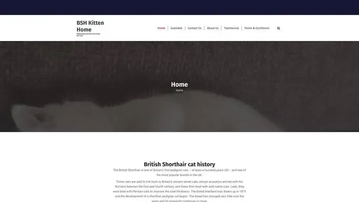 Screenshot of