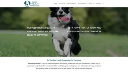 Screenshot of