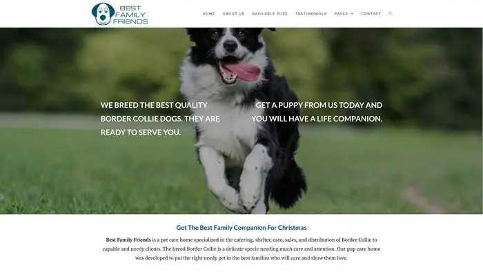 Screenshot of