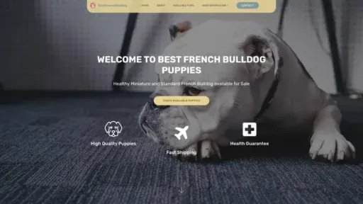Screenshot of