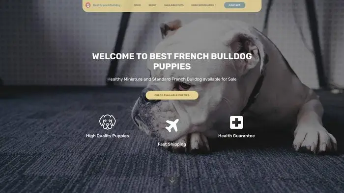 Screenshot of