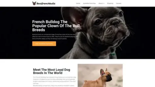 Screenshot of