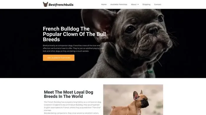 Screenshot of