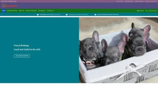 Screenshot of