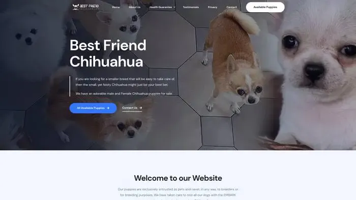 Screenshot of
