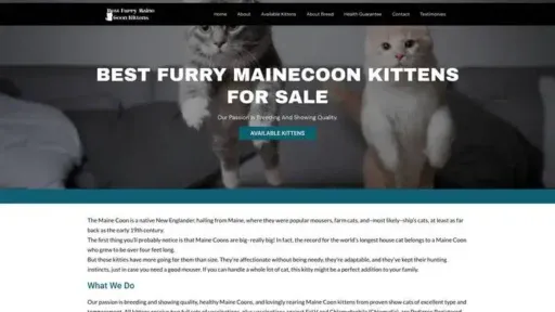 Screenshot of