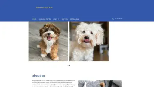 Screenshot of