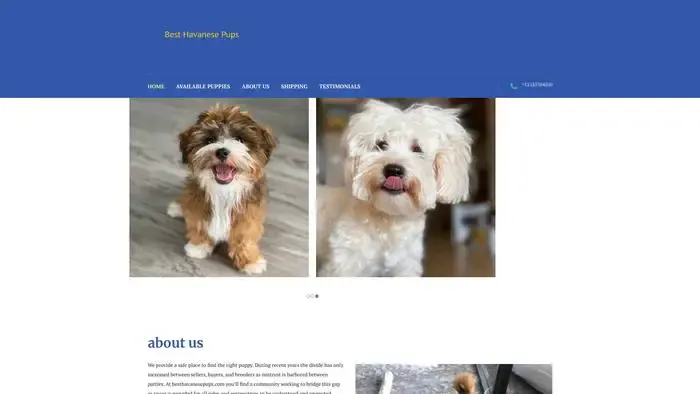 Screenshot of