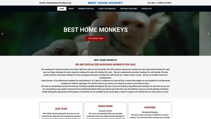 Screenshot of