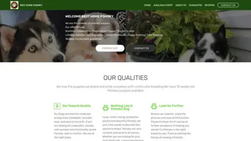 Screenshot of