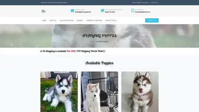 Screenshot of