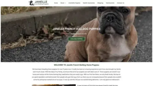 Screenshot of