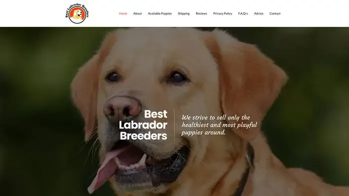 Screenshot of
