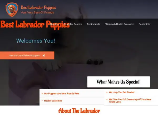 Screenshot of