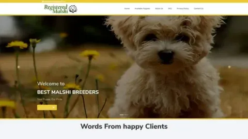 Screenshot of