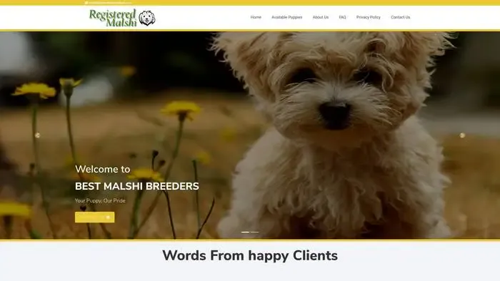 Screenshot of