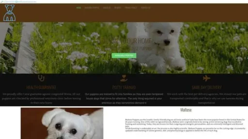 Screenshot of