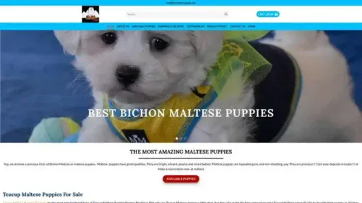 Screenshot of