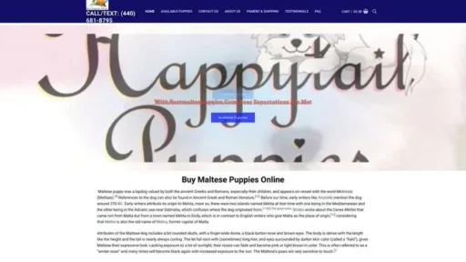 Screenshot of
