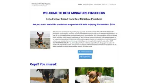 Screenshot of
