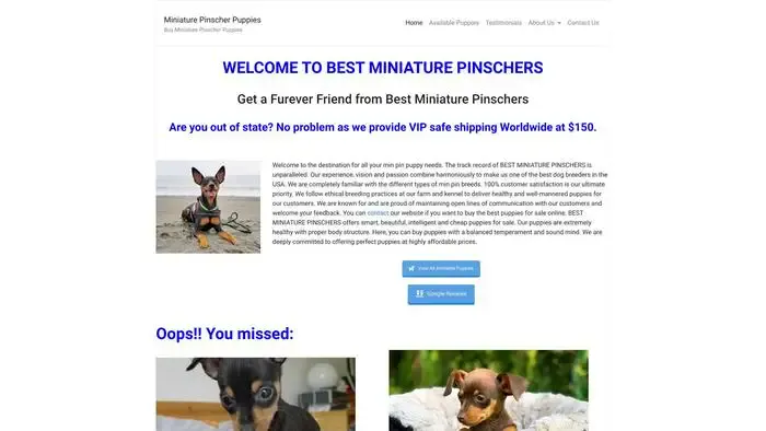 Screenshot of