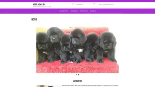 Screenshot of