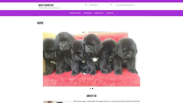 Screenshot of